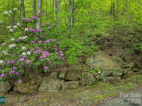 59 Pisgah Mountain Trail Candler NC 28715