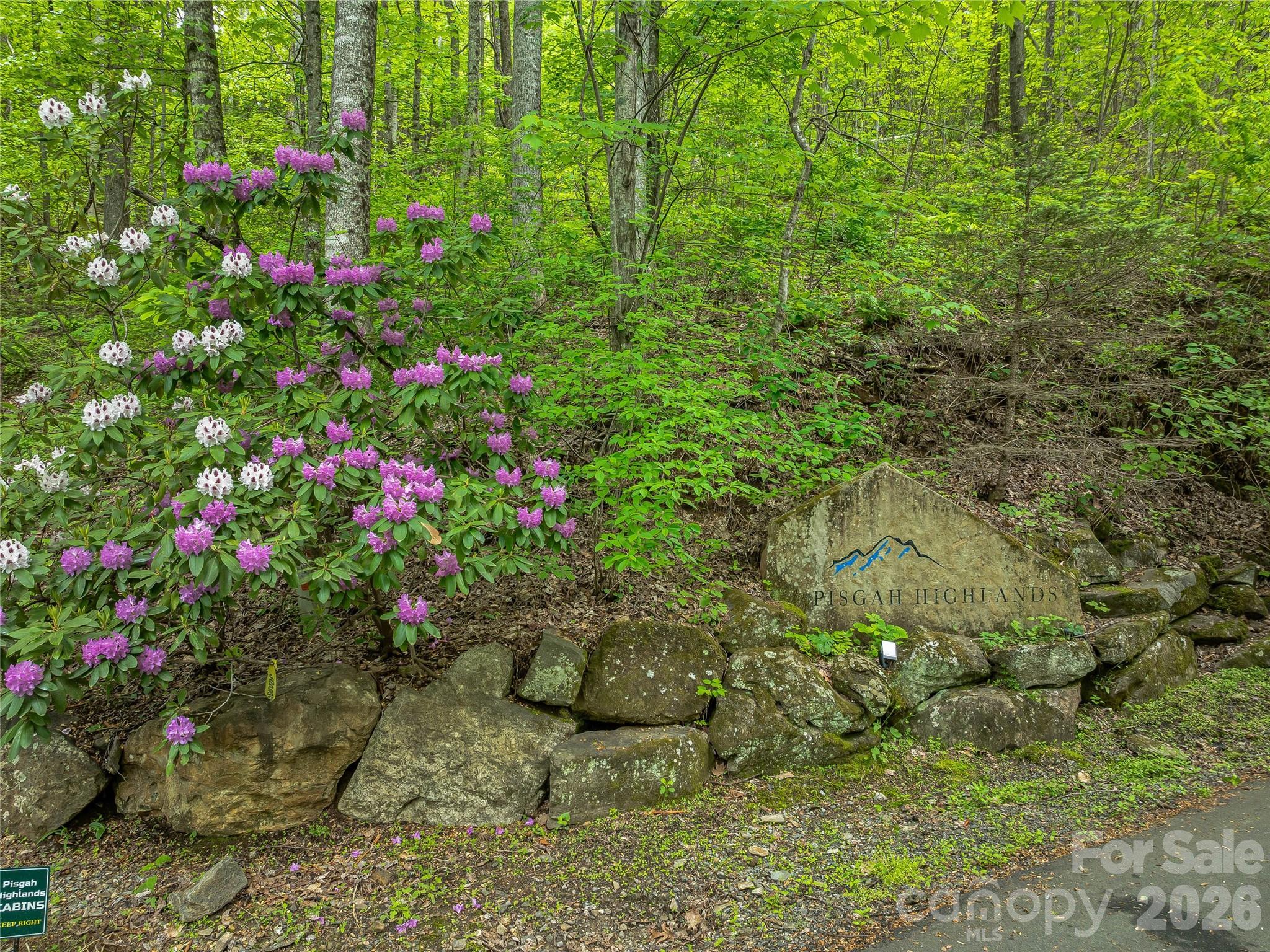 59 Pisgah Mountain Trail Candler NC 28715