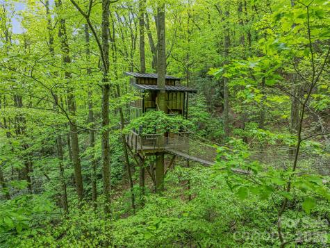 59 Pisgah Mountain Trail Candler NC 28715