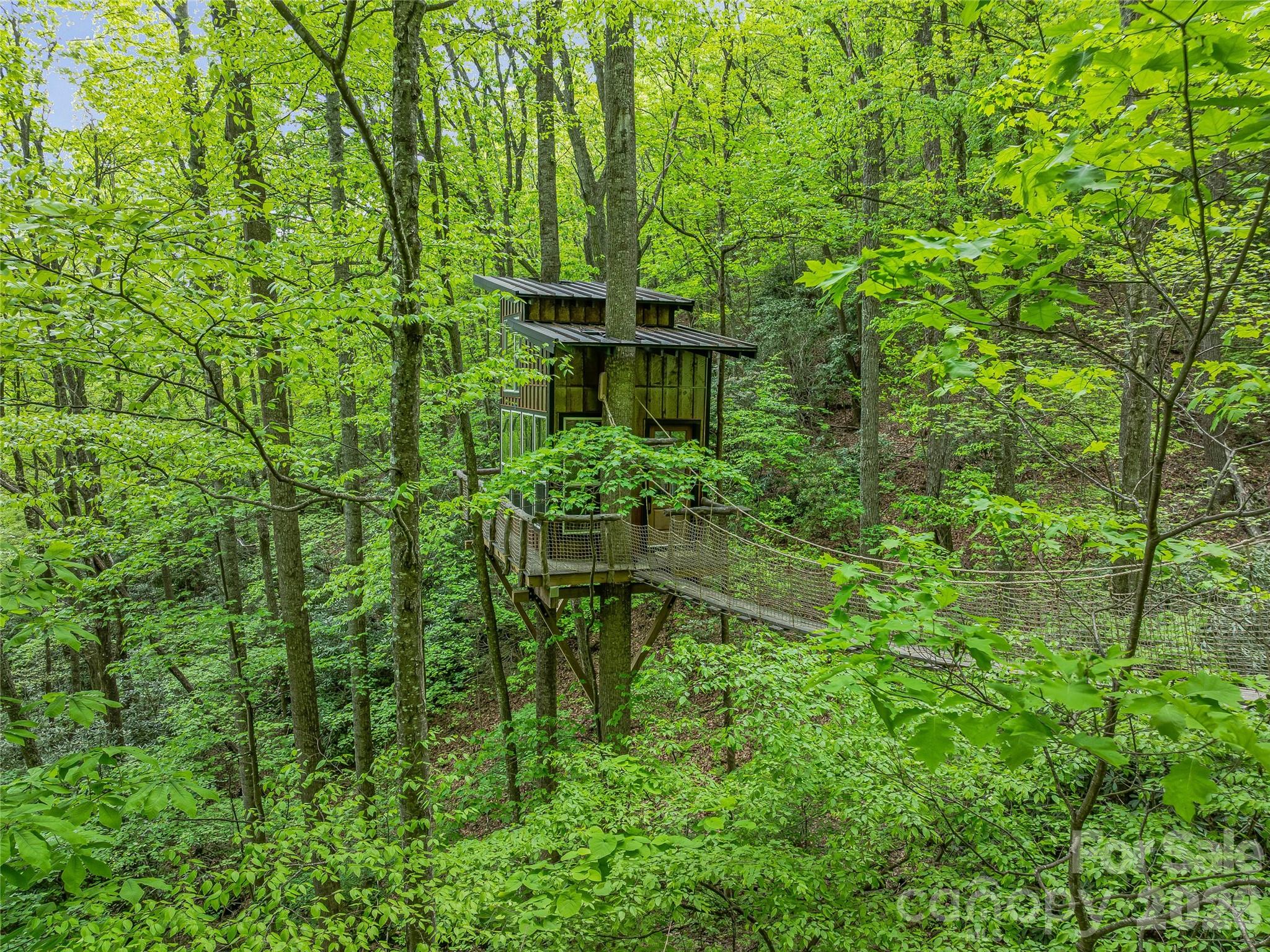 59 Pisgah Mountain Trail Candler NC 28715