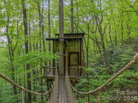 59 Pisgah Mountain Trail Candler NC 28715