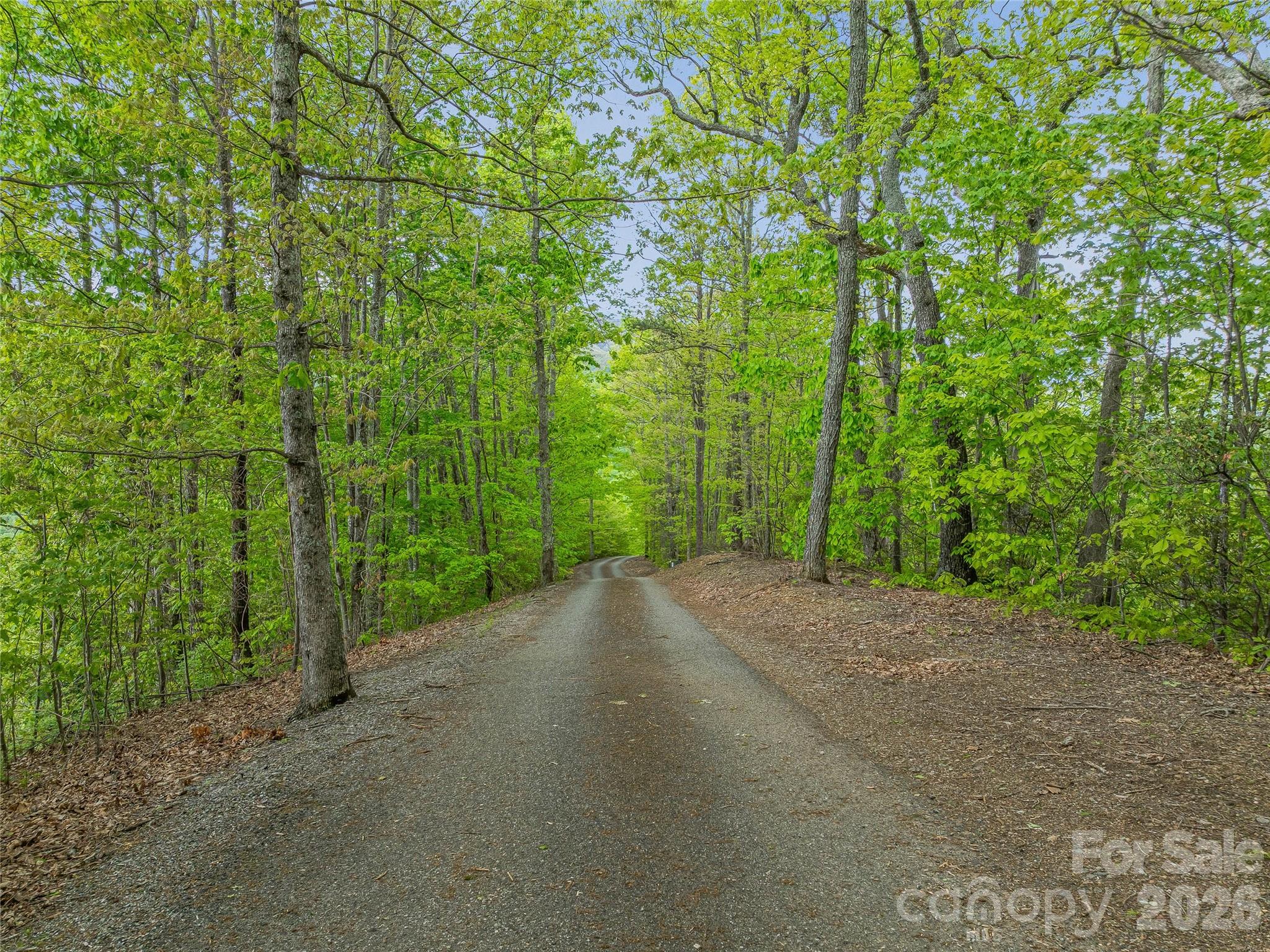 59 Pisgah Mountain Trail Candler NC 28715
