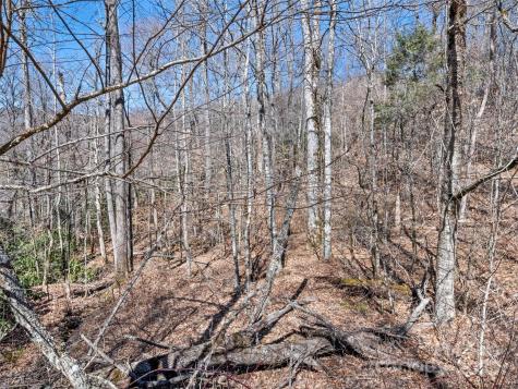 Lot 6 Spruce Flats Road Maggie Valley NC 28751