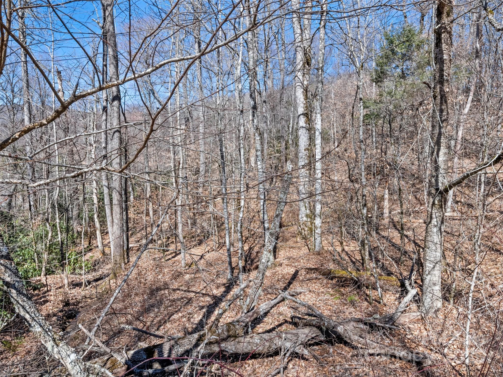 Lot 6 Spruce Flats Road Maggie Valley NC 28751