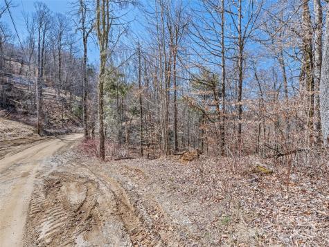Lot 6 Spruce Flats Road Maggie Valley NC 28751