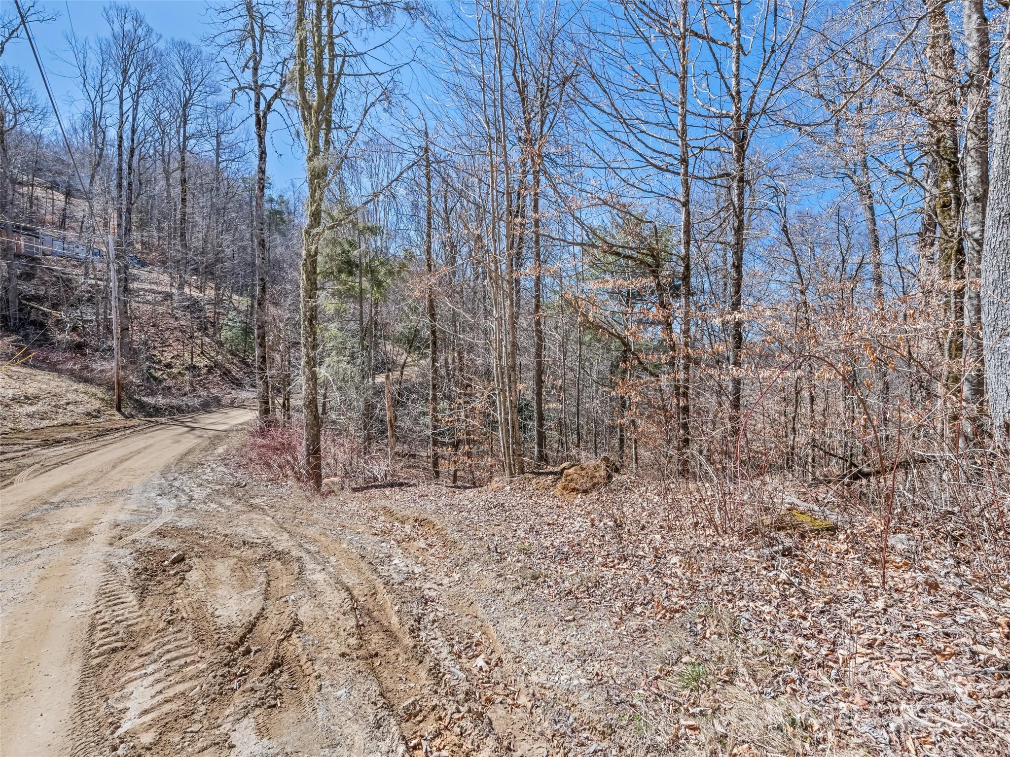 Lot 6 Spruce Flats Road Maggie Valley NC 28751