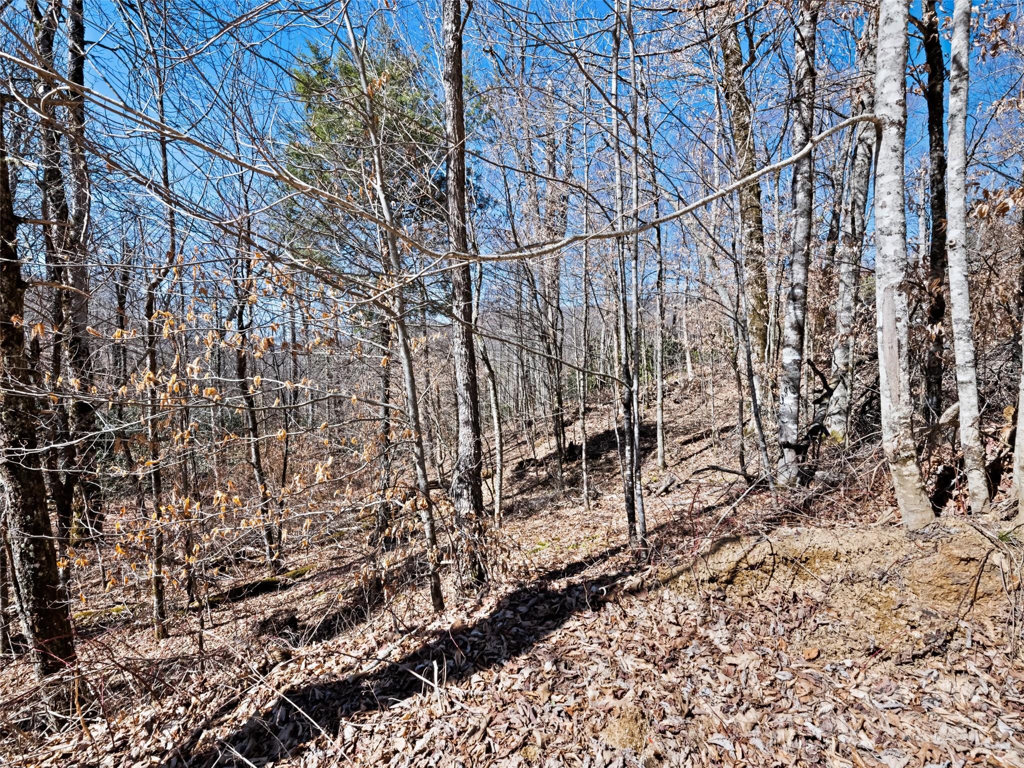 Lot 6 Spruce Flats Road Maggie Valley NC 28751