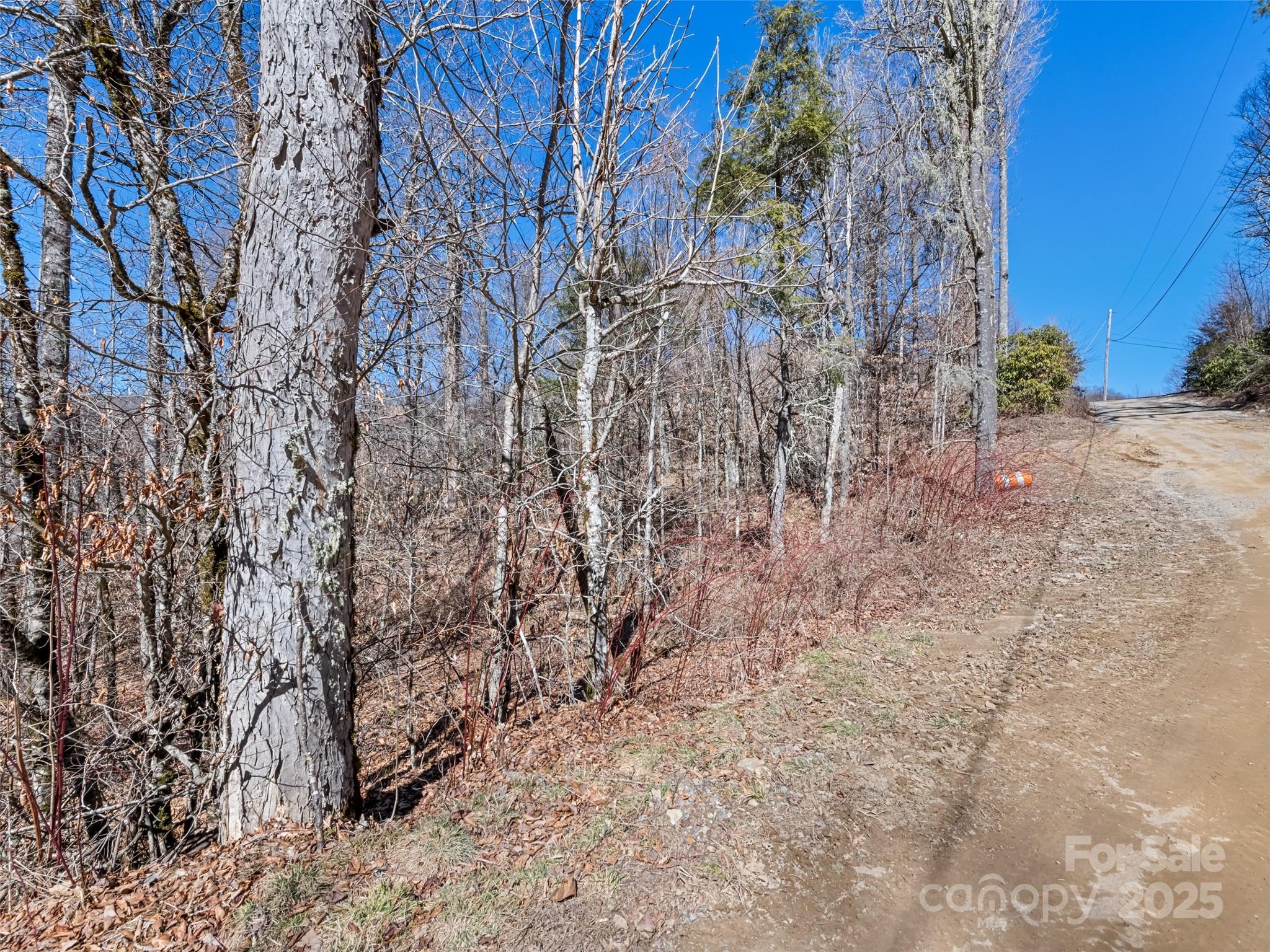 Lot 6 Spruce Flats Road Maggie Valley NC 28751