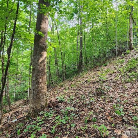 0 Switchback Road Lake Lure NC 28746