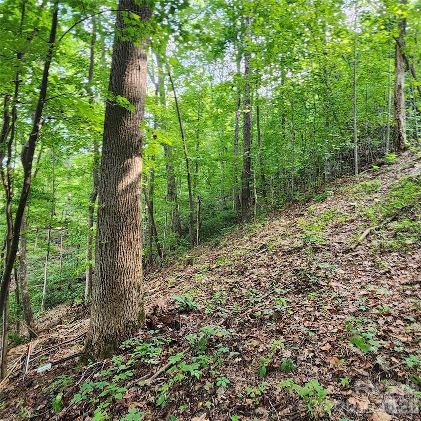 0 Switchback Road Lake Lure NC 28746