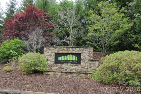 Buncombe County Homes for Sale