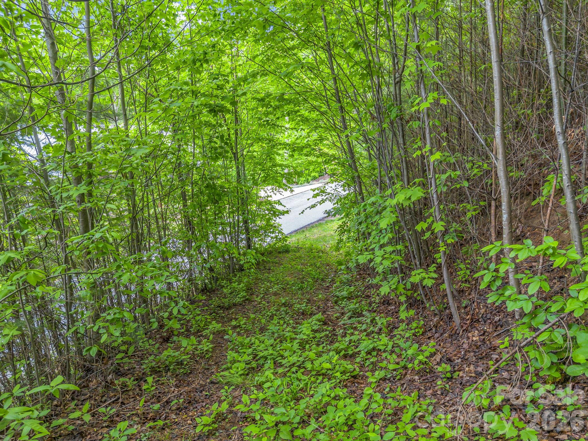 64 Longspur Lane Asheville NC 28804