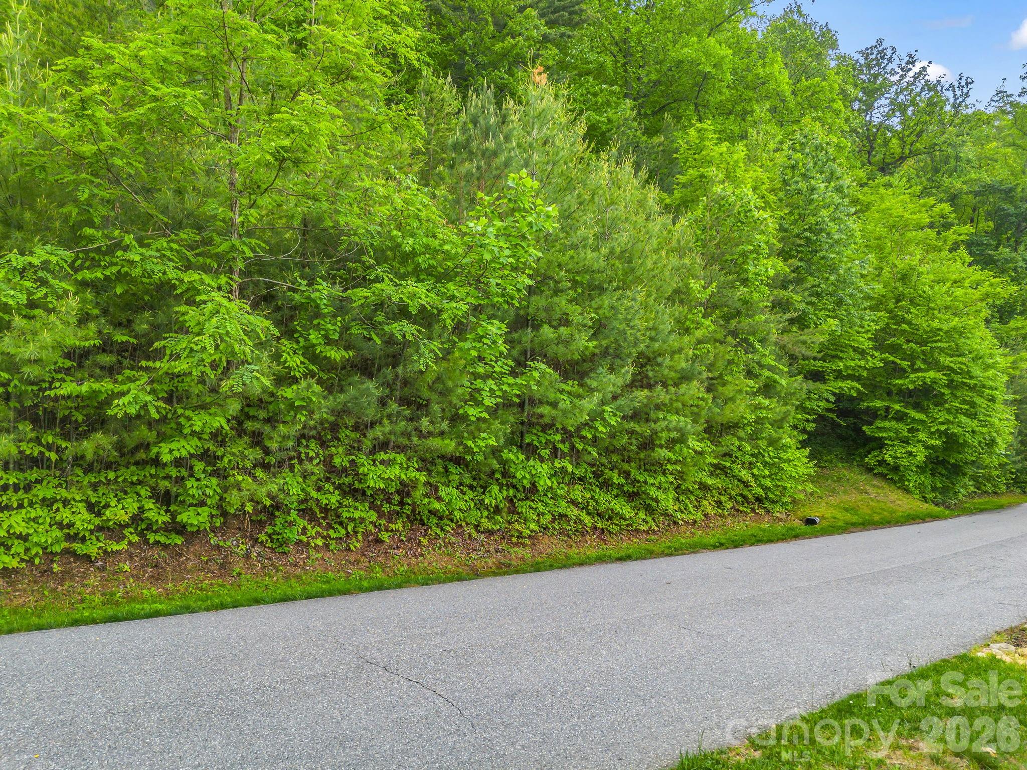 64 Longspur Lane Asheville NC 28804