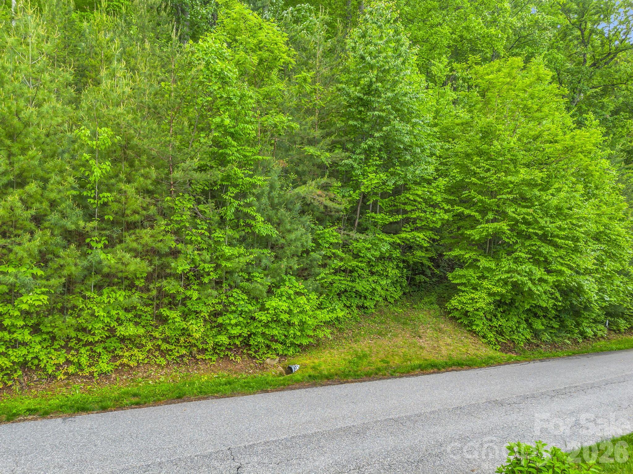 64 Longspur Lane Asheville NC 28804
