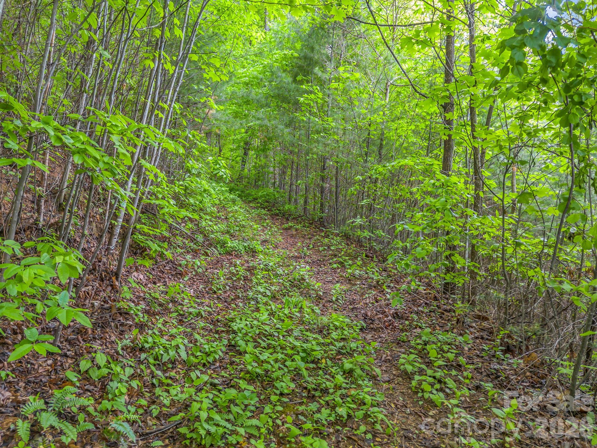 64 Longspur Lane Asheville NC 28804