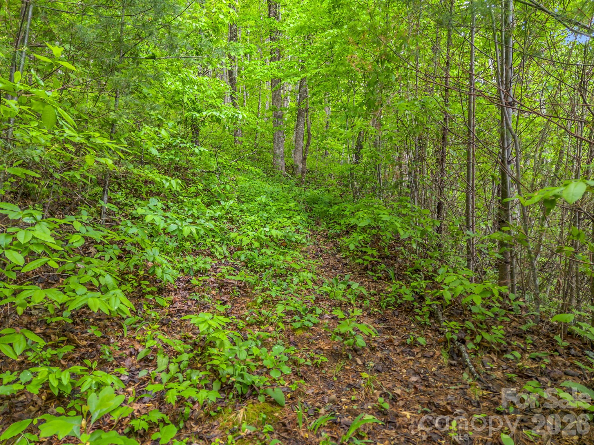 64 Longspur Lane Asheville NC 28804