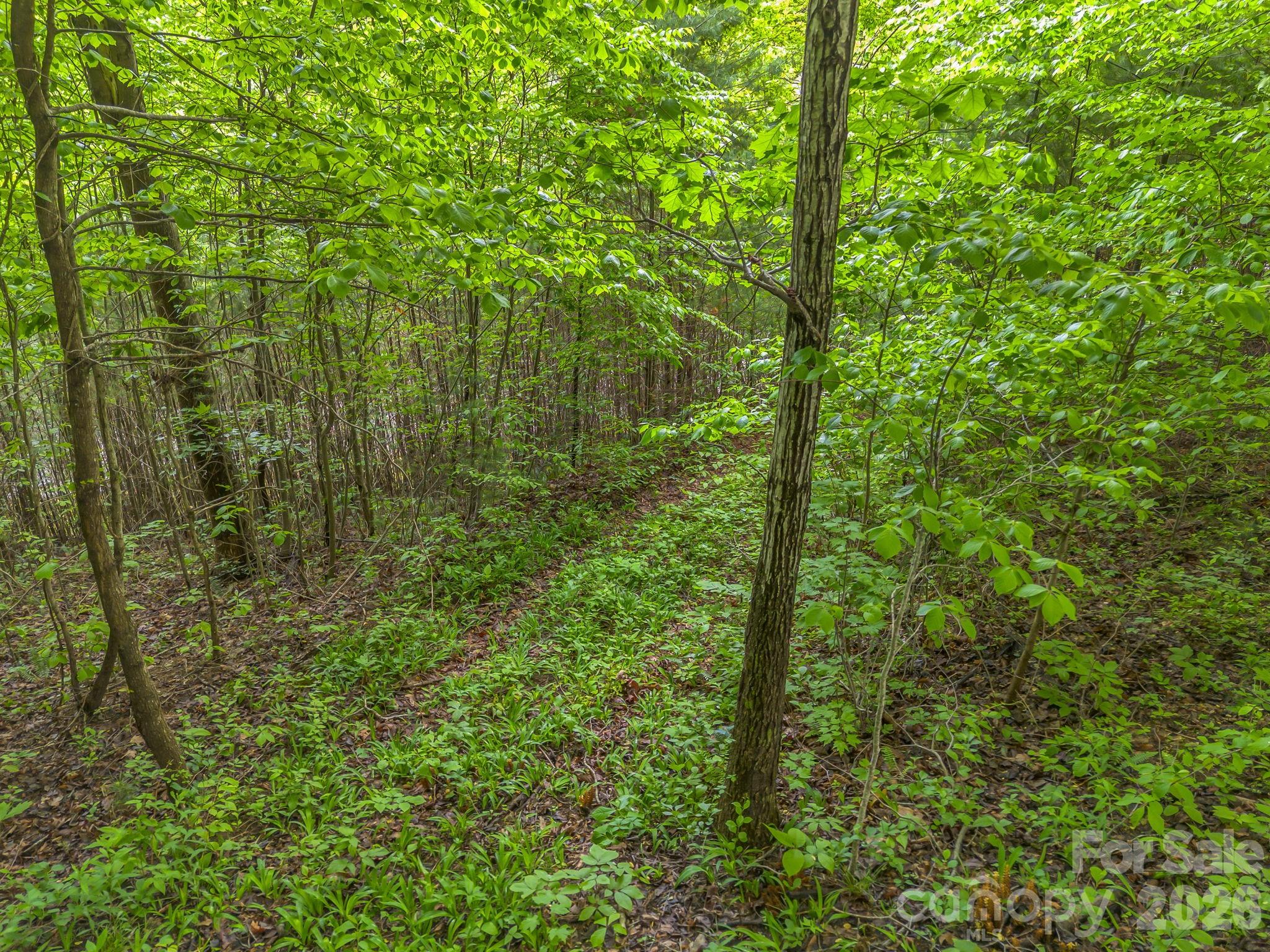 64 Longspur Lane Asheville NC 28804