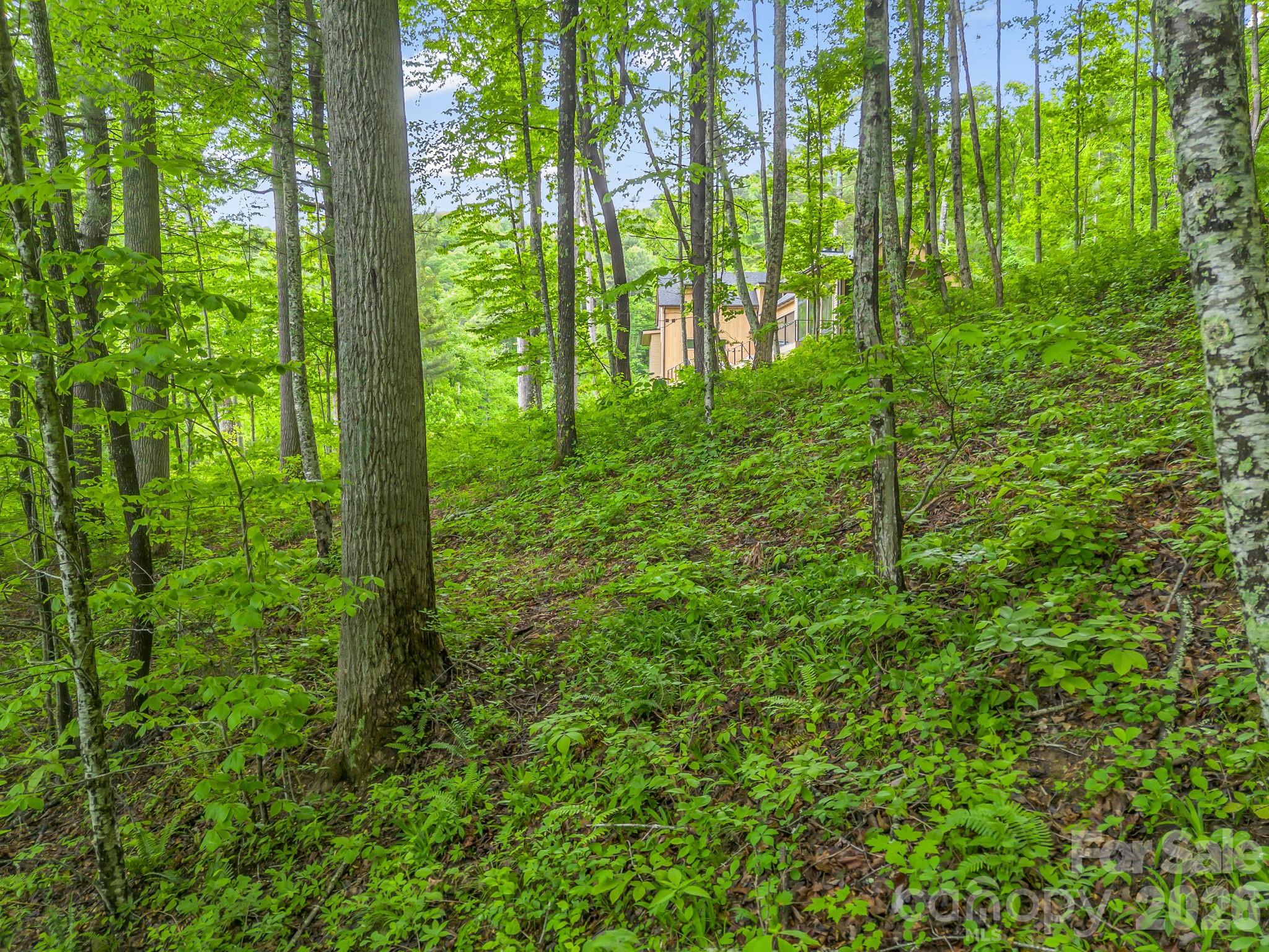 64 Longspur Lane Asheville NC 28804