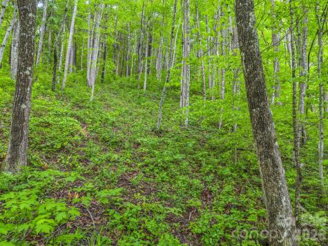 64 Longspur Lane Asheville NC 28804