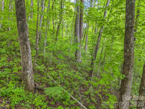 64 Longspur Lane Asheville NC 28804