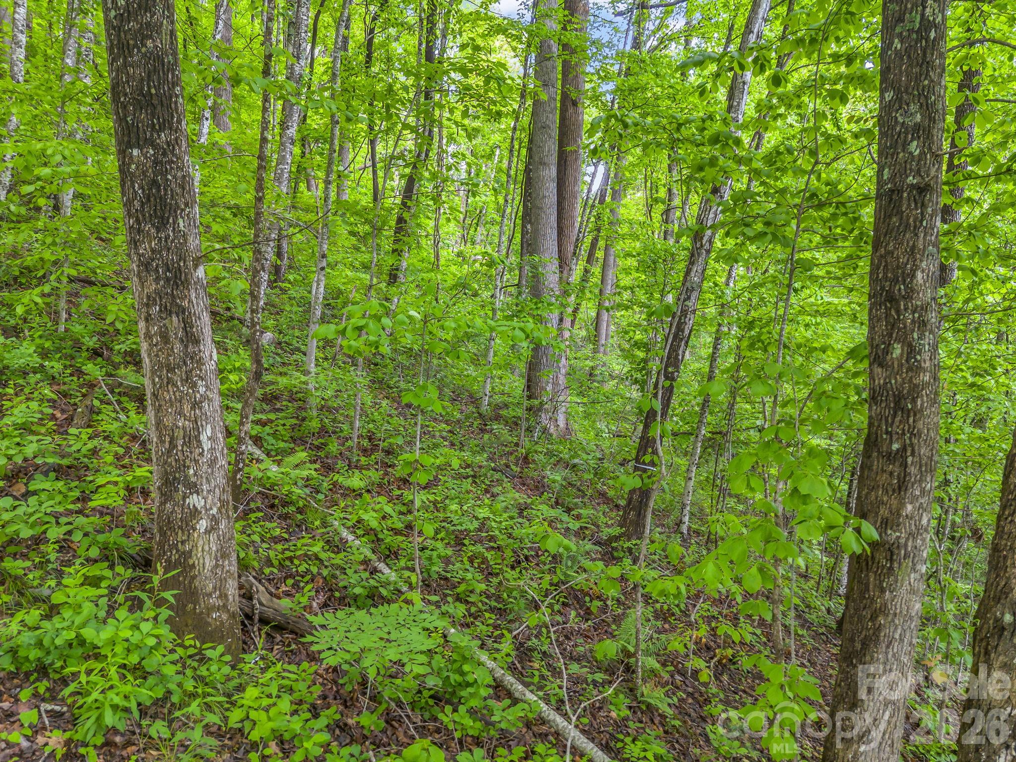 64 Longspur Lane Asheville NC 28804