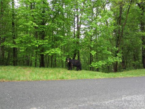 64 Longspur Lane Asheville NC 28804