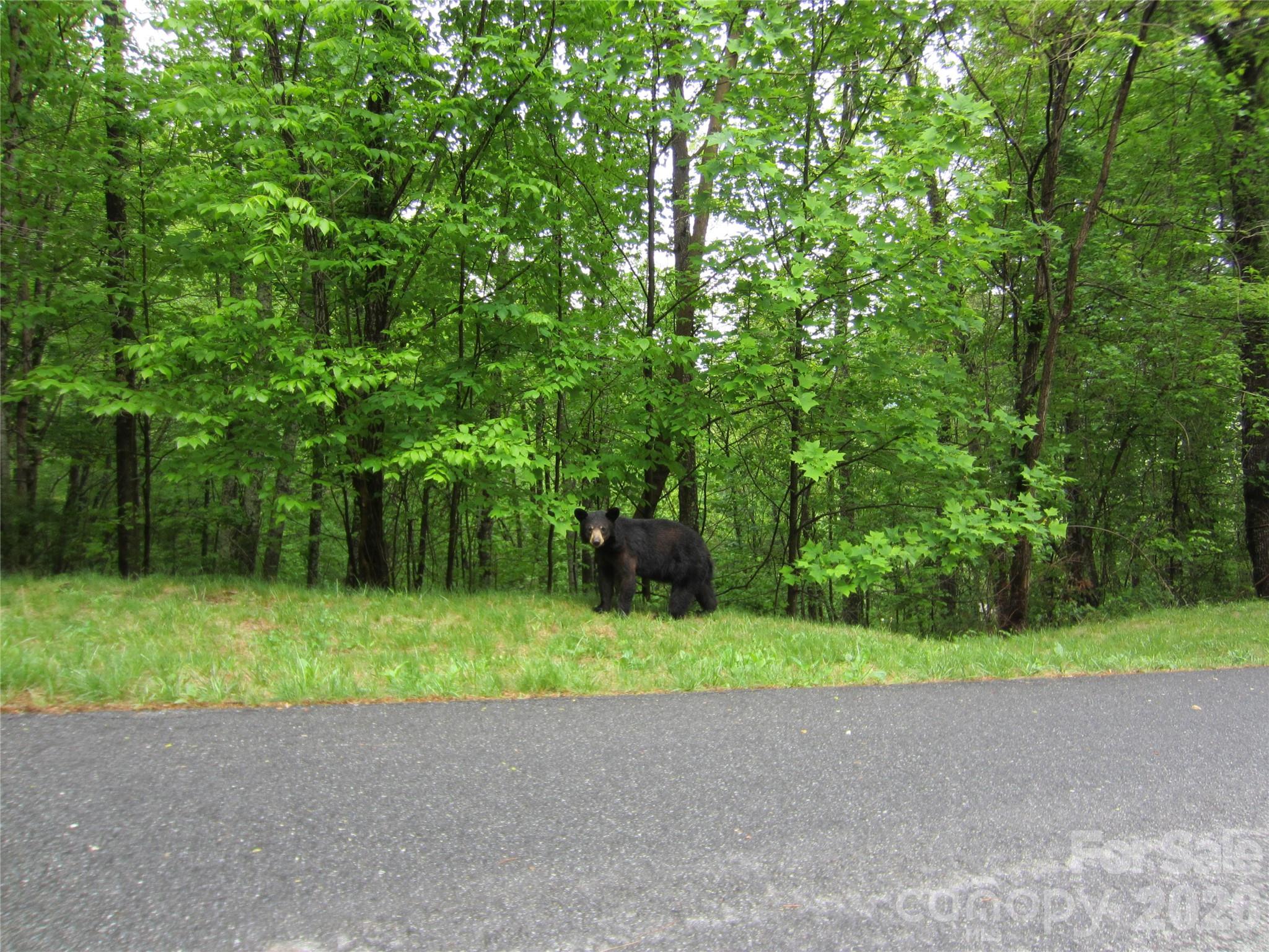 64 Longspur Lane Asheville NC 28804