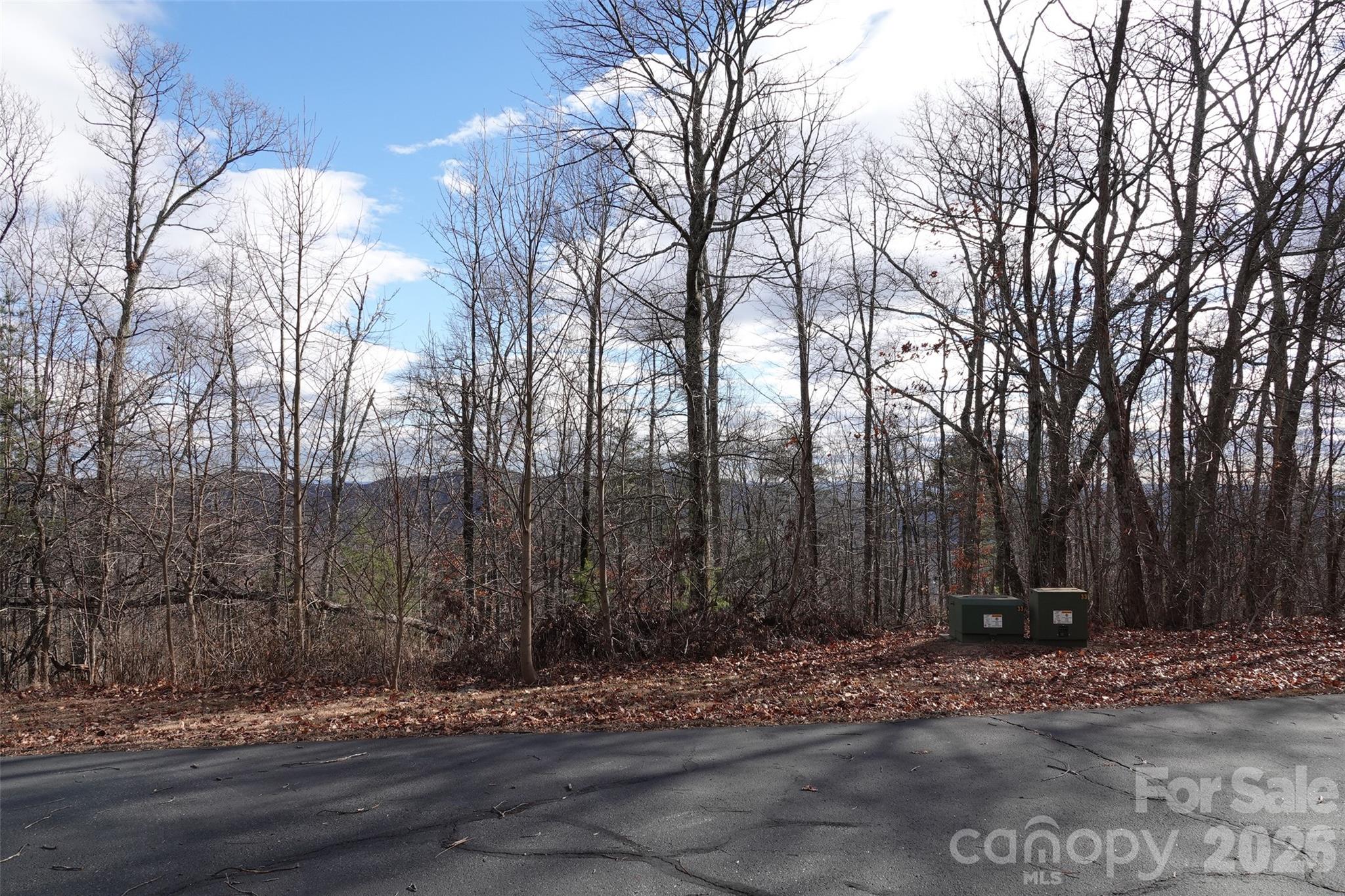 79 Longview Trail Bostic NC 28018