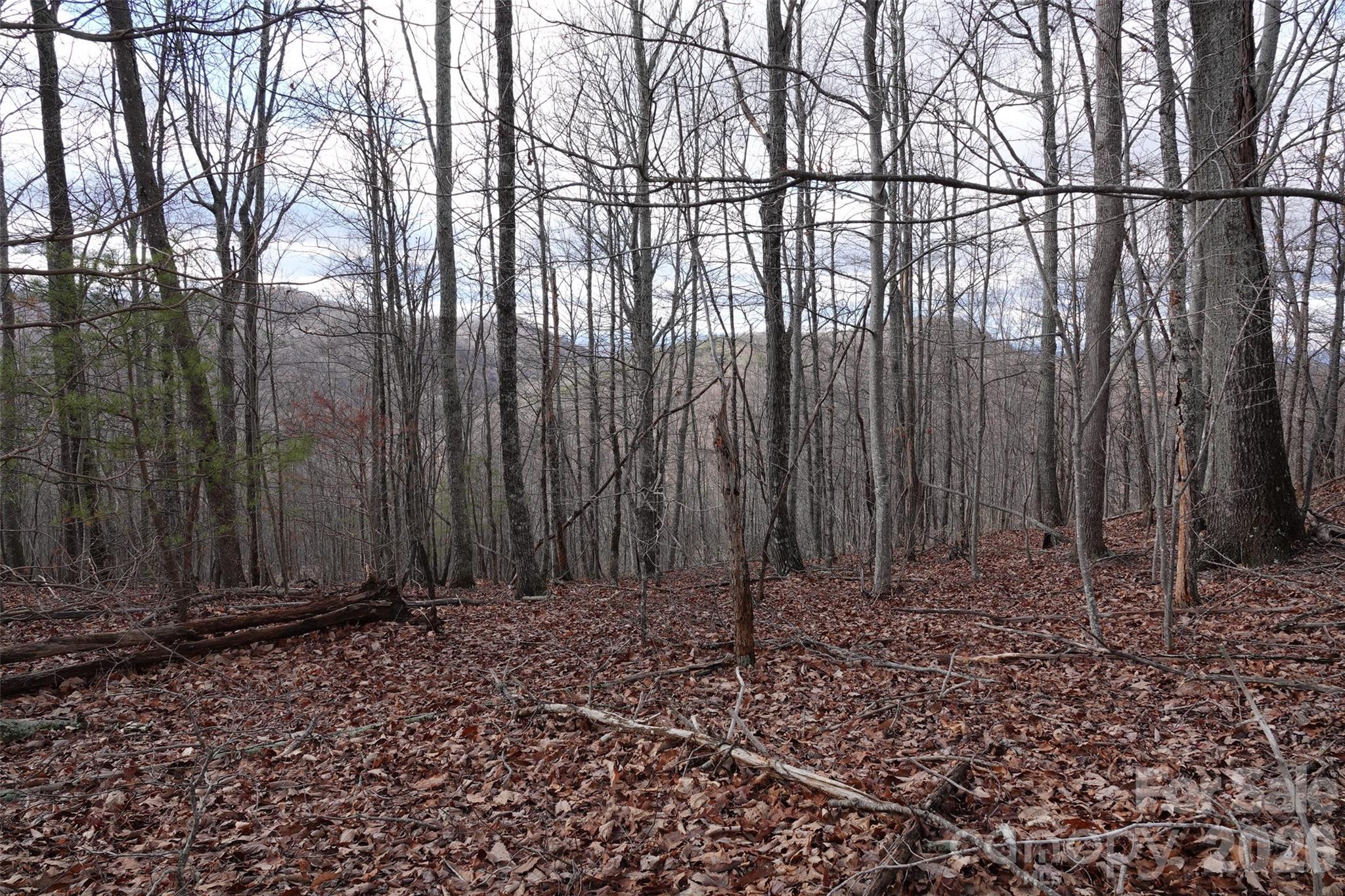 79 Longview Trail Bostic NC 28018