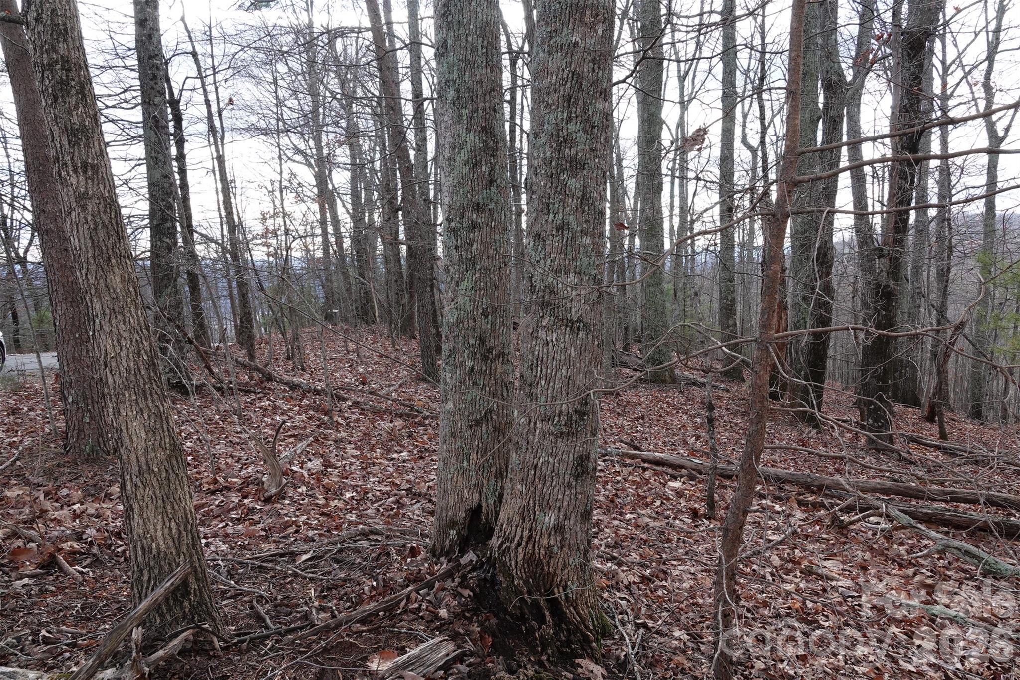 79 Longview Trail Bostic NC 28018