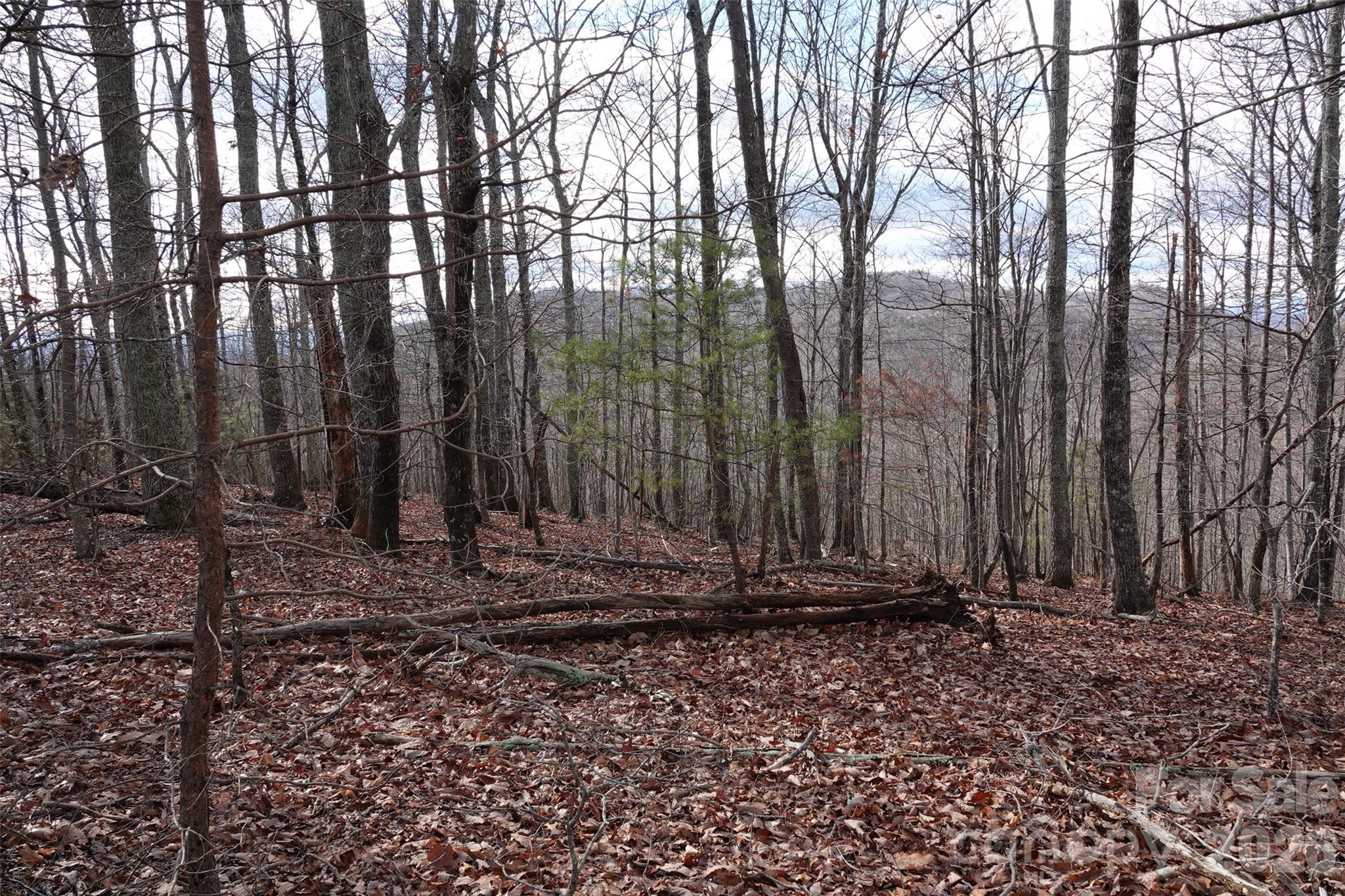 79 Longview Trail Bostic NC 28018