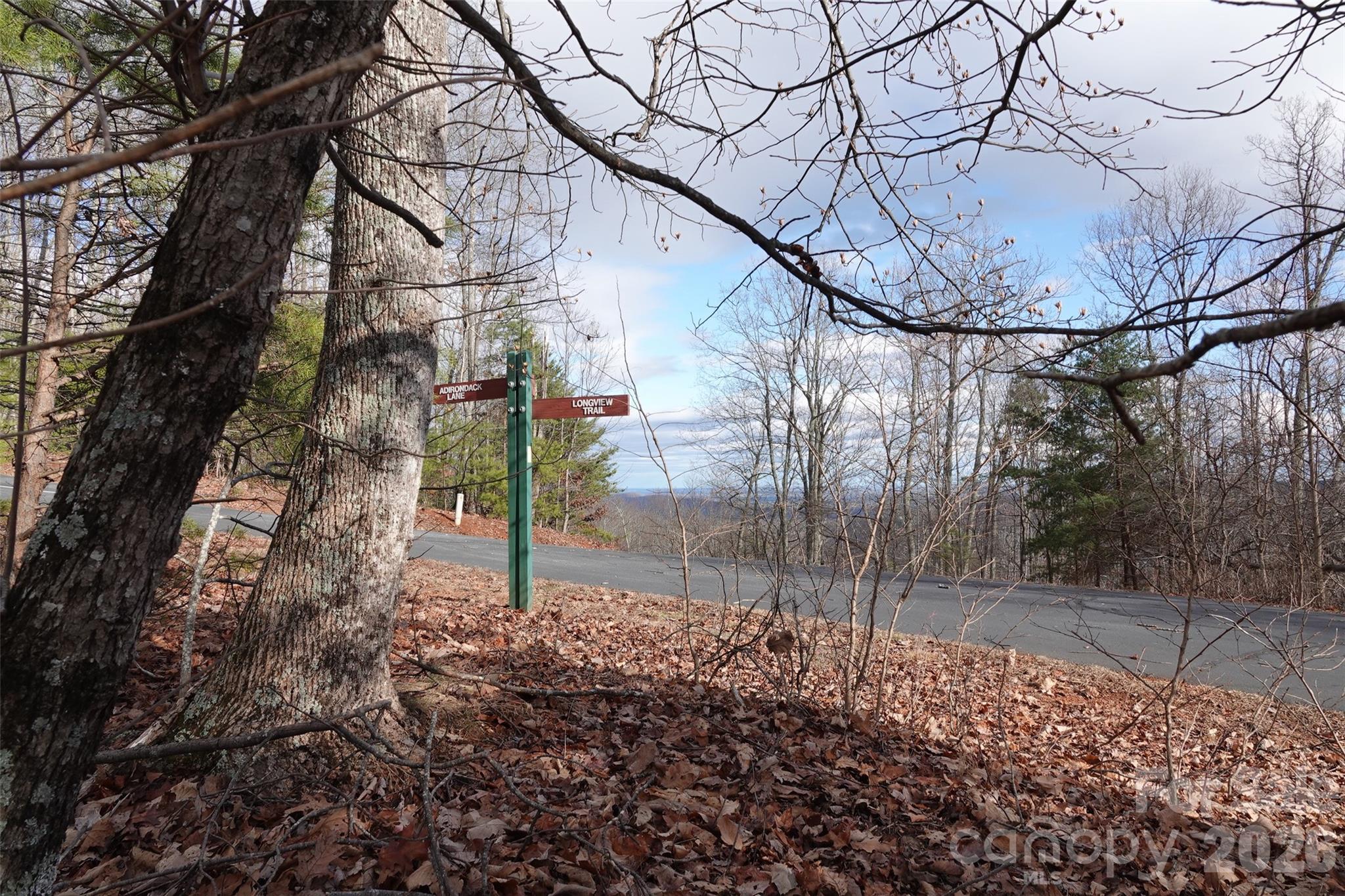 79 Longview Trail Bostic NC 28018