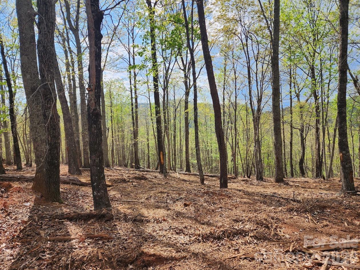 79 Longview Trail Bostic NC 28018