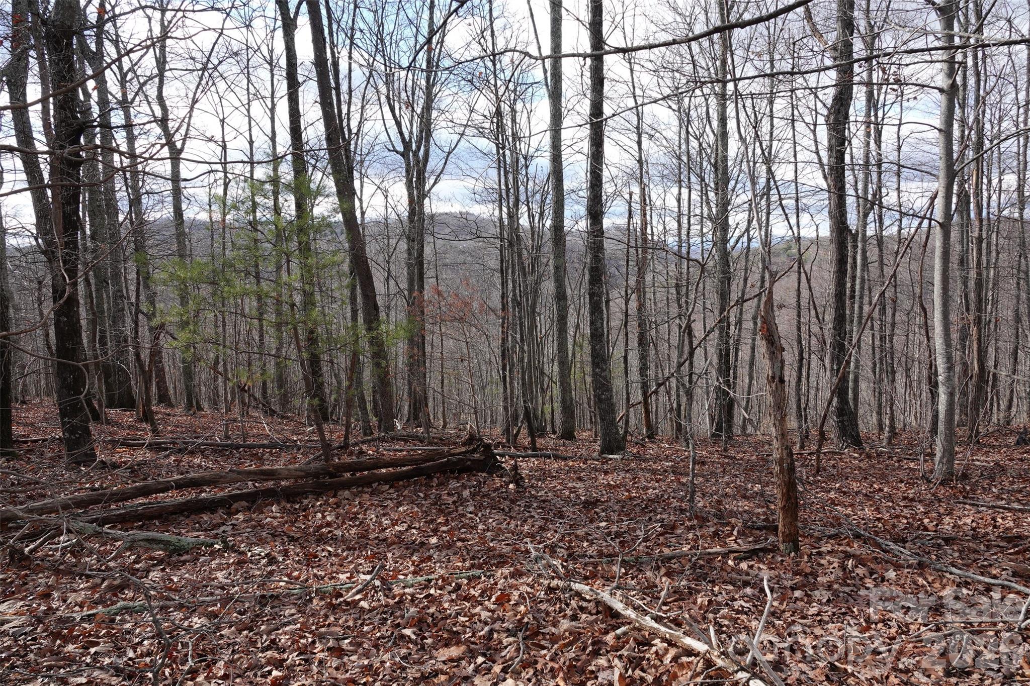 79 Longview Trail Bostic NC 28018