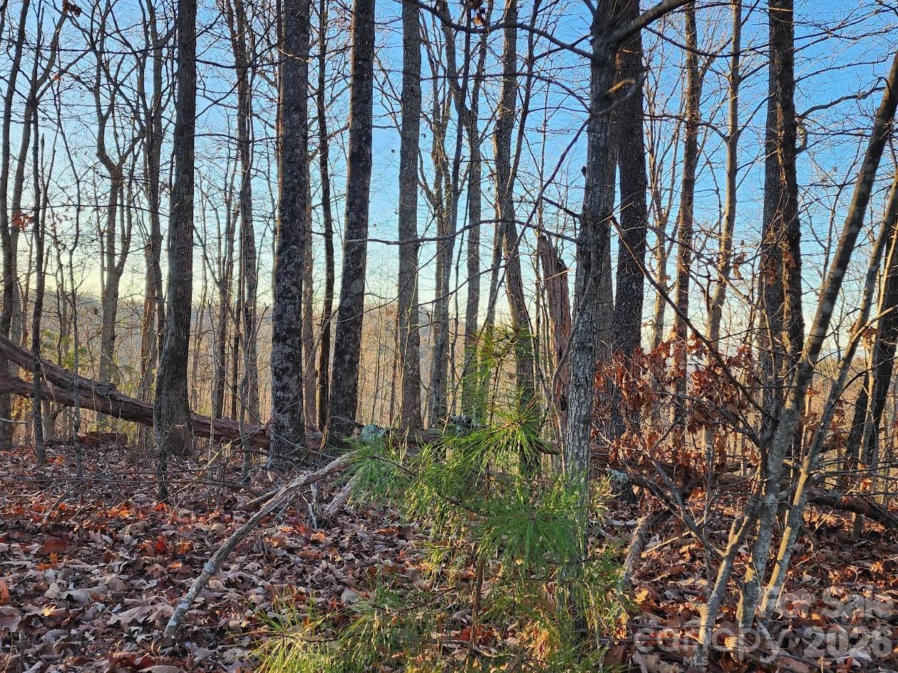 79 Longview Trail Bostic NC 28018