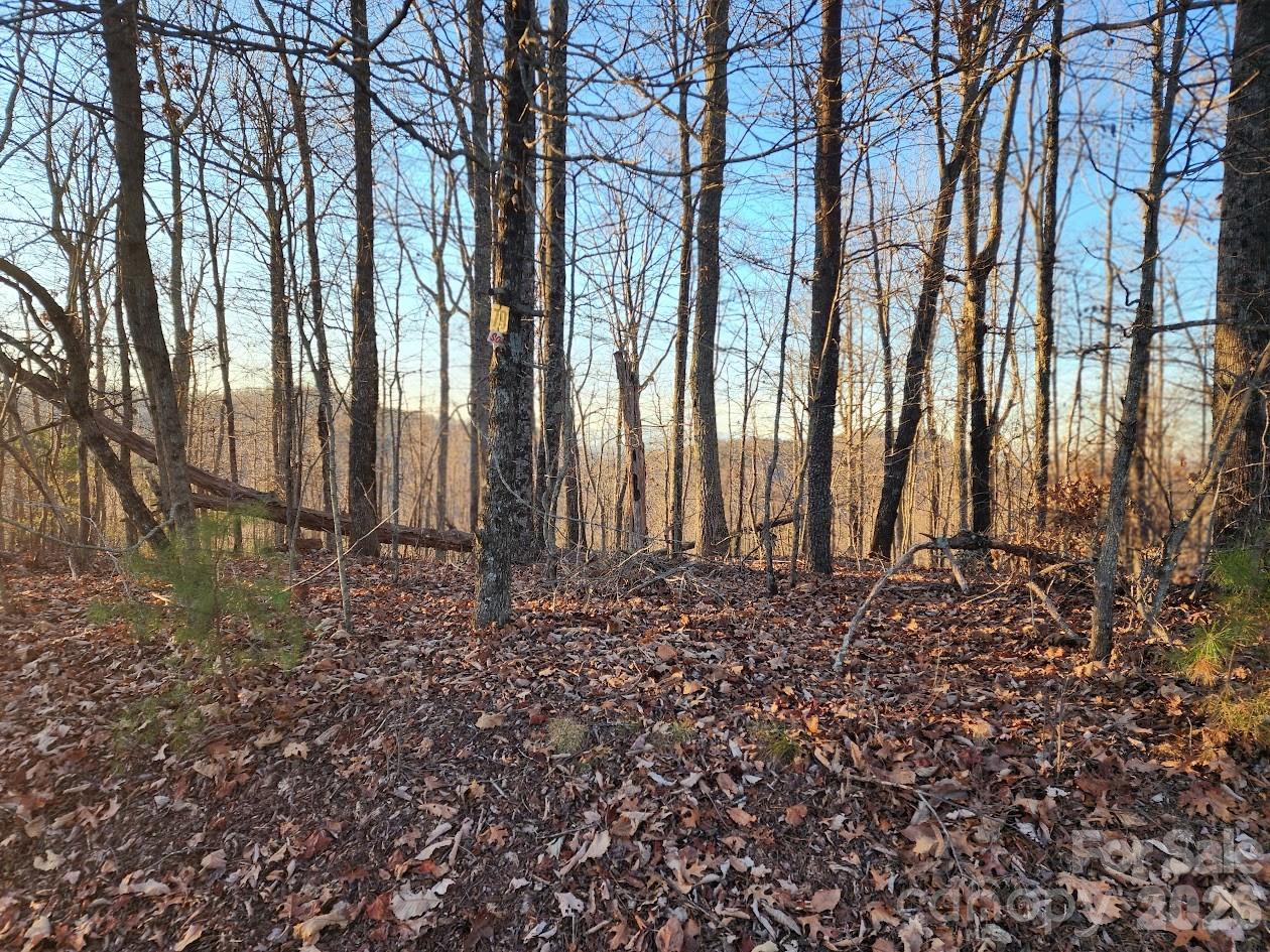 79 Longview Trail Bostic NC 28018
