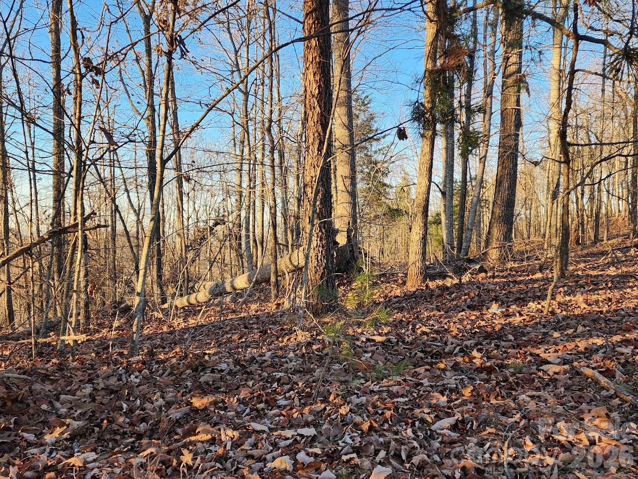 79 Longview Trail Bostic NC 28018