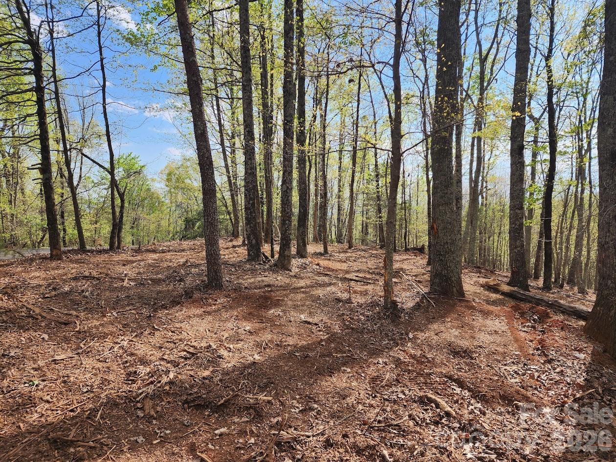 79 Longview Trail Bostic NC 28018
