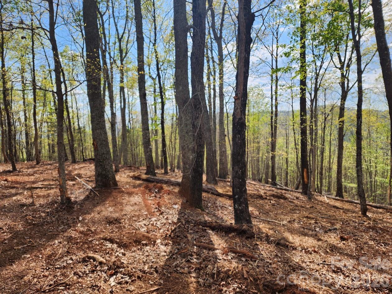 79 Longview Trail Bostic NC 28018
