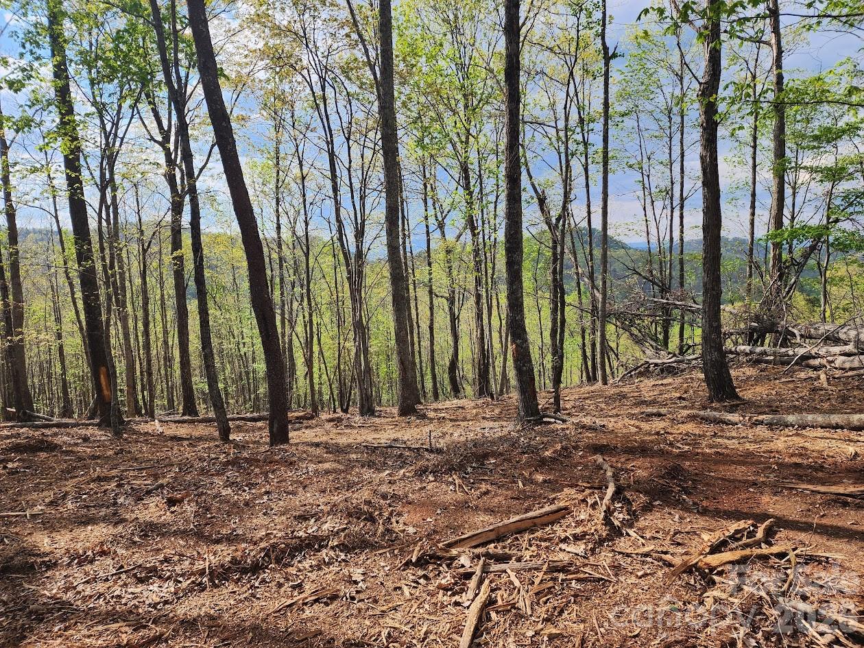 79 Longview Trail Bostic NC 28018