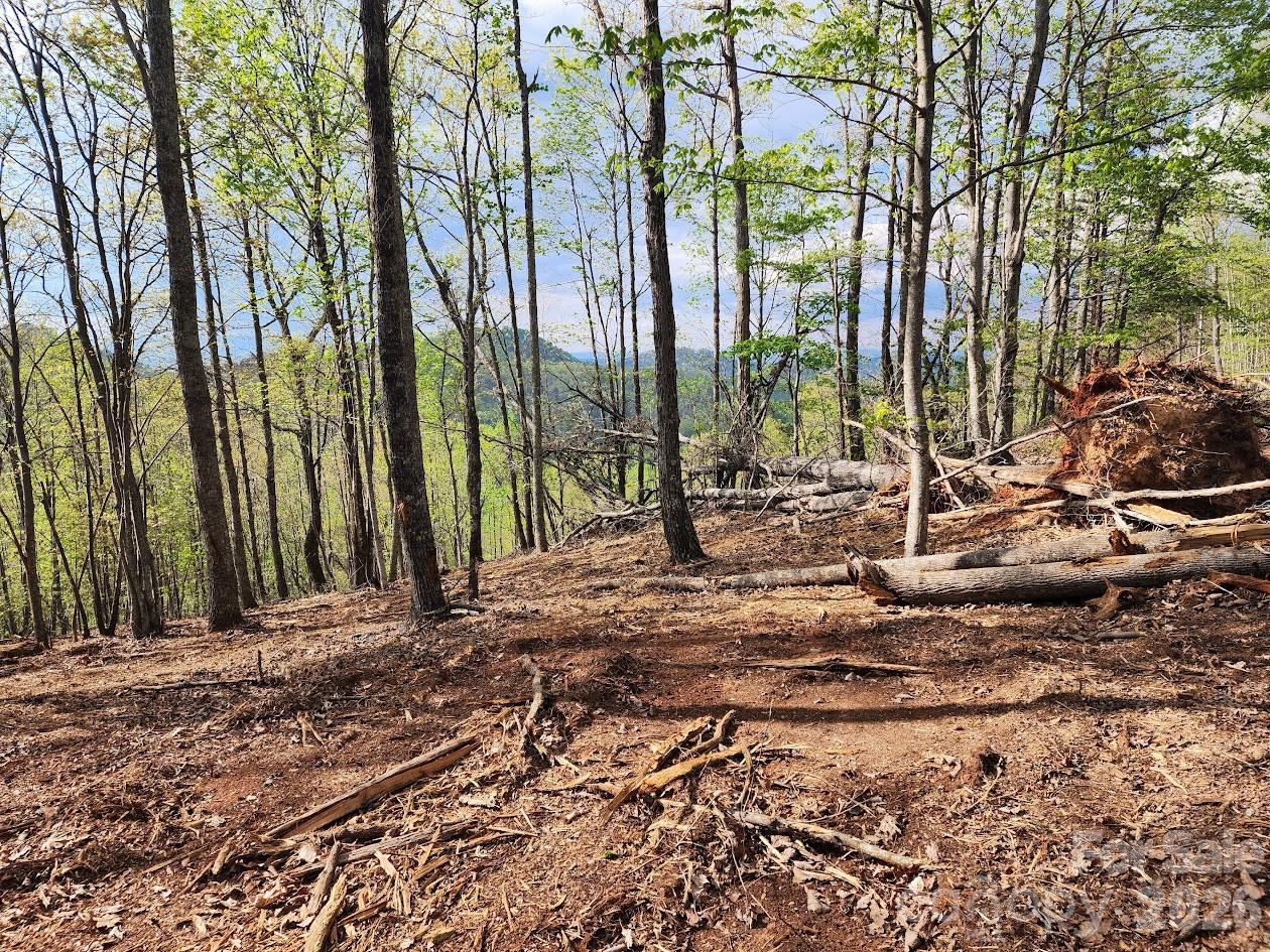 79 Longview Trail Bostic NC 28018