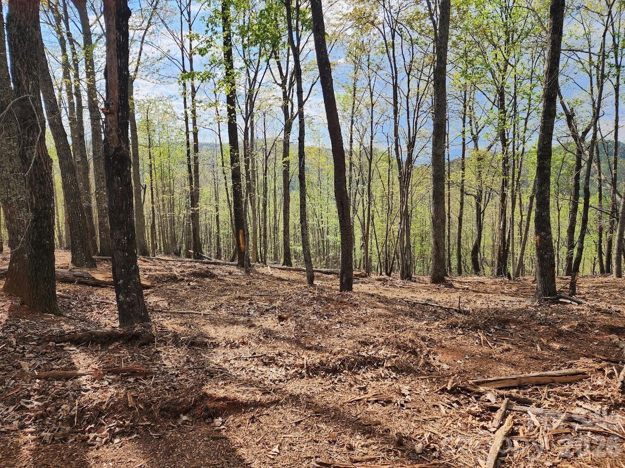 79 Longview Trail Bostic NC 28018