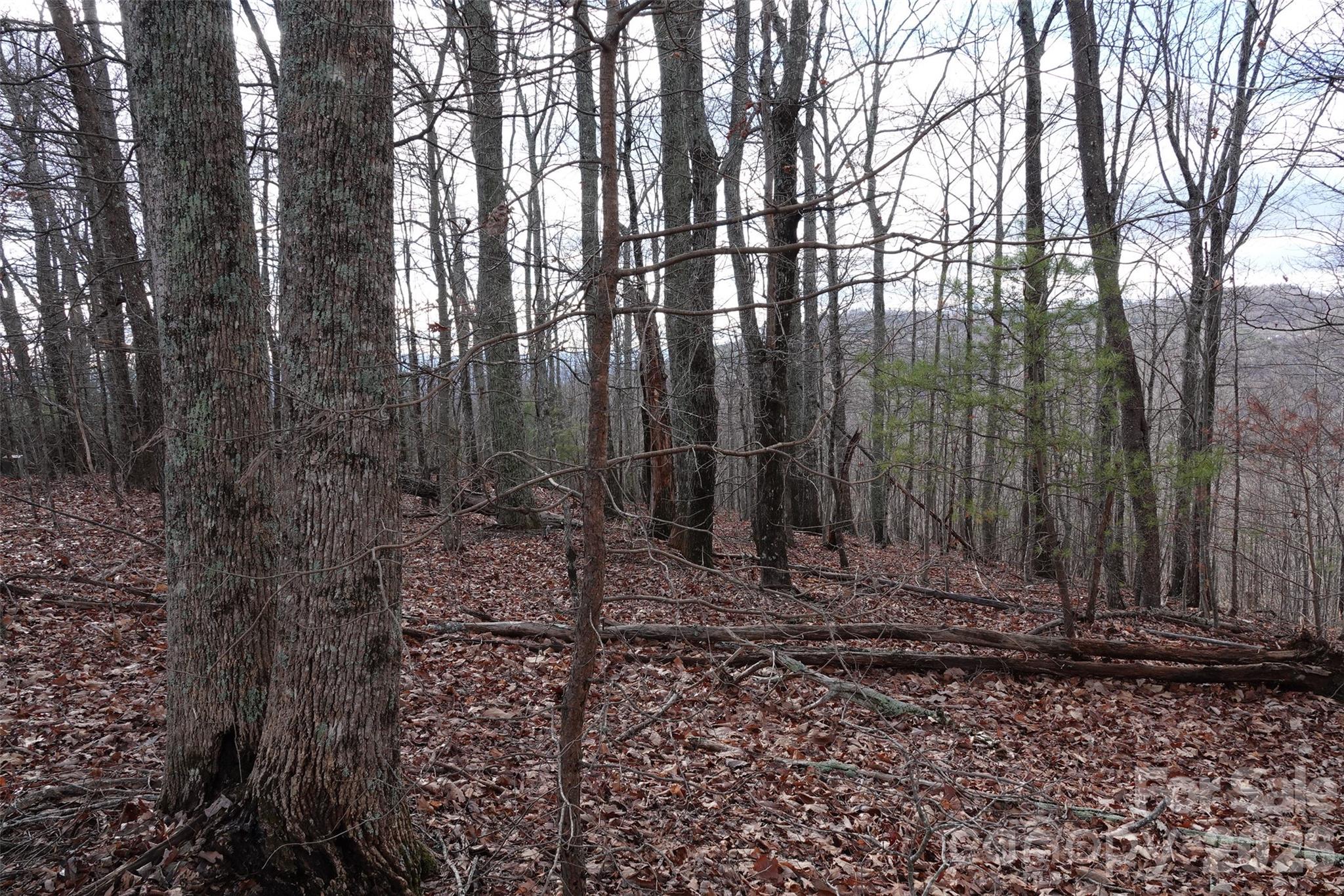 79 Longview Trail Bostic NC 28018