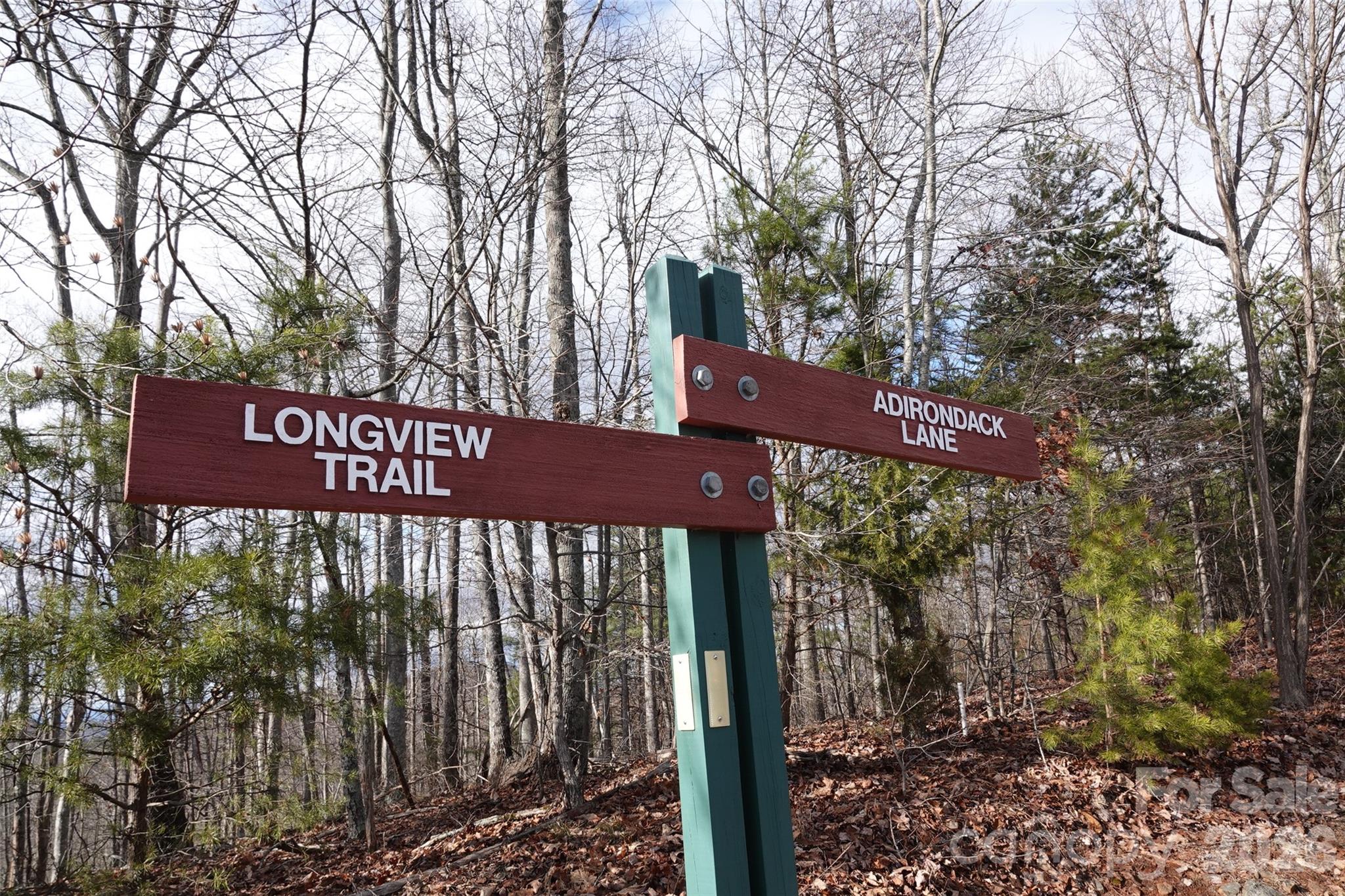 79 Longview Trail Bostic NC 28018