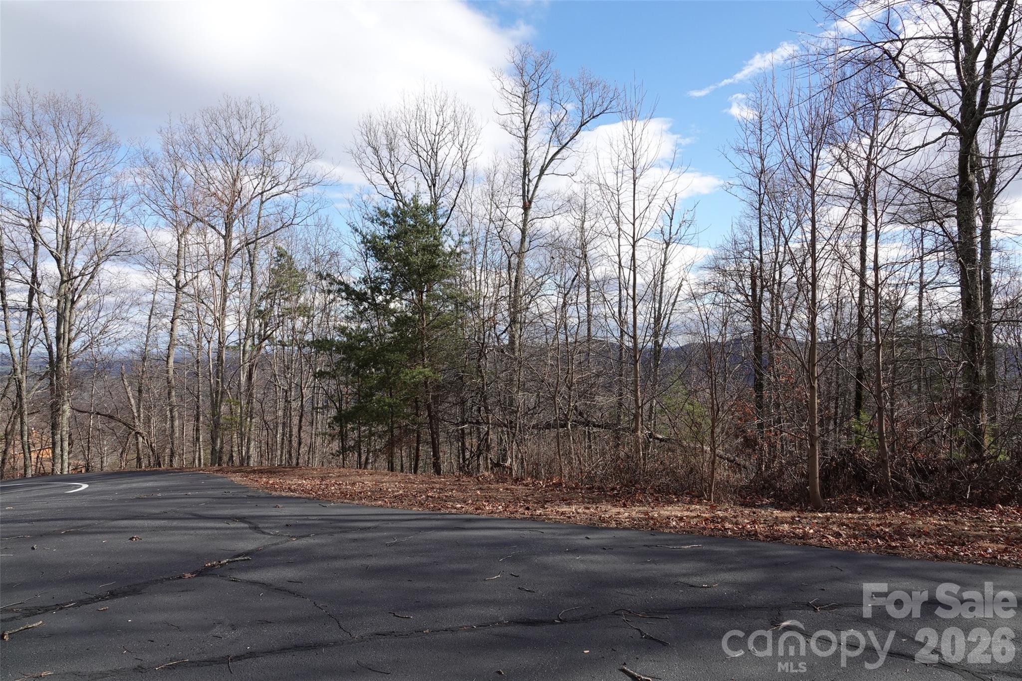 79 Longview Trail Bostic NC 28018