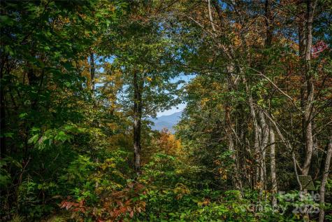 205 Chickadee Lane Maggie Valley NC 28751