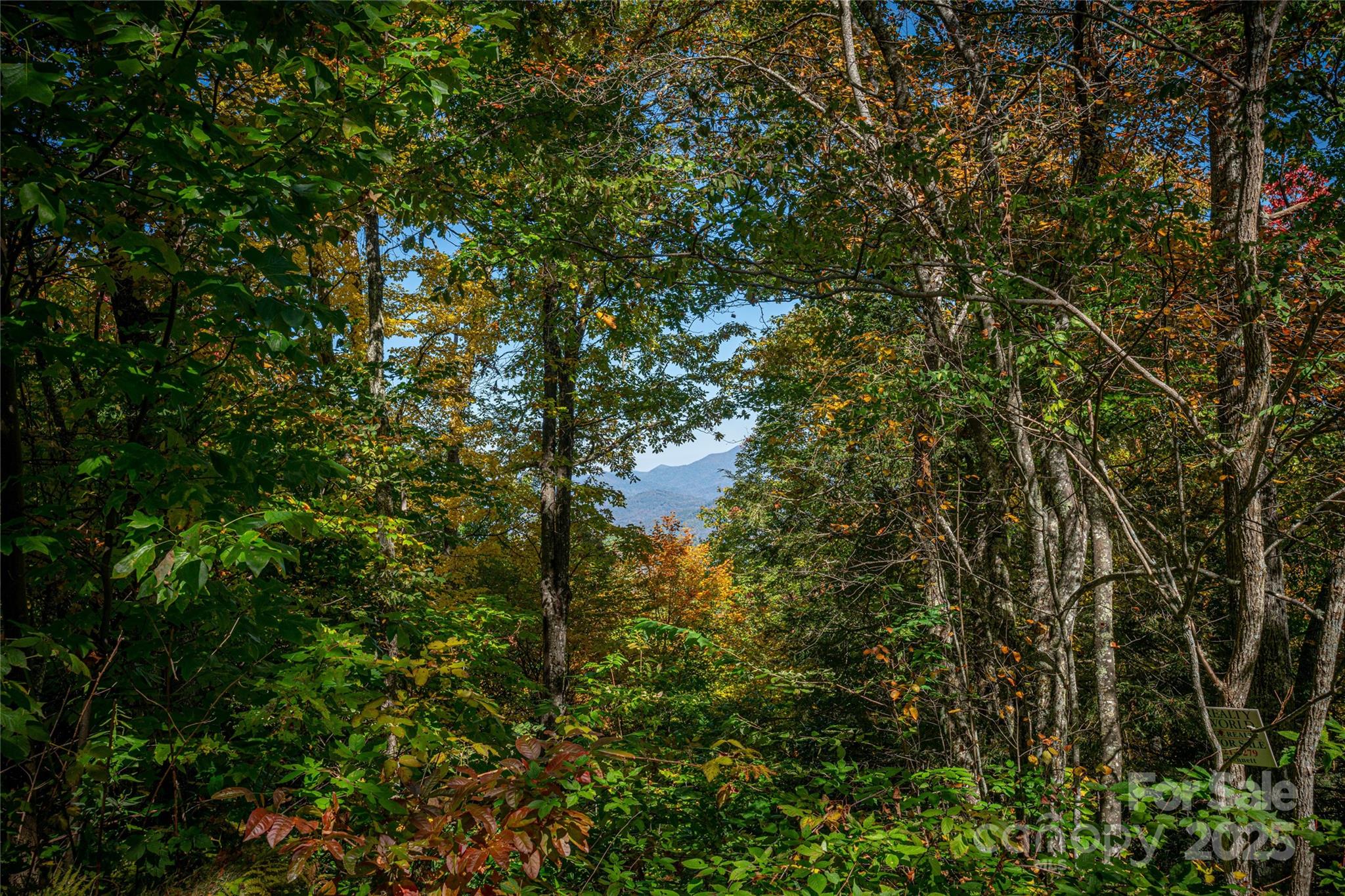 205 Chickadee Lane Maggie Valley NC 28751