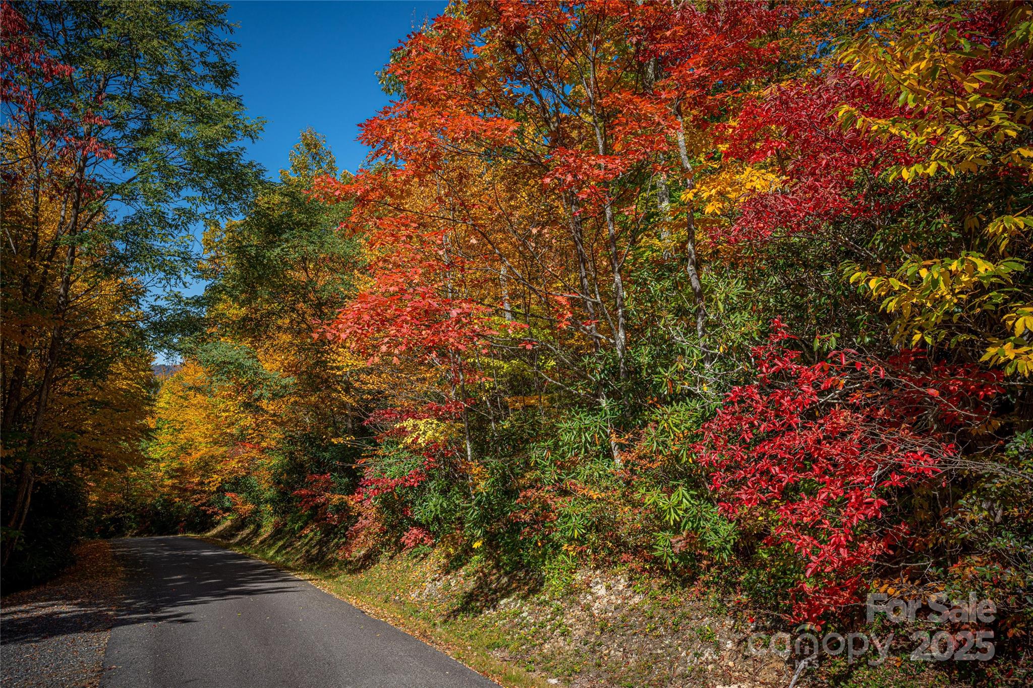 205 Chickadee Lane Maggie Valley NC 28751