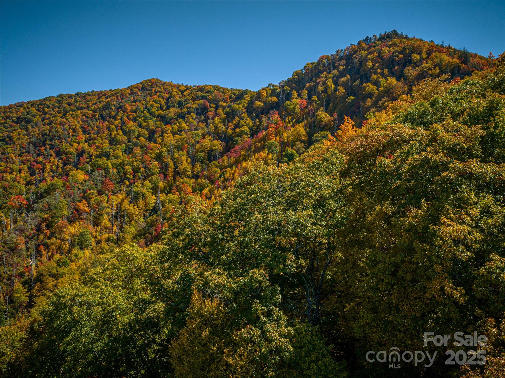 205 Chickadee Lane Maggie Valley NC 28751