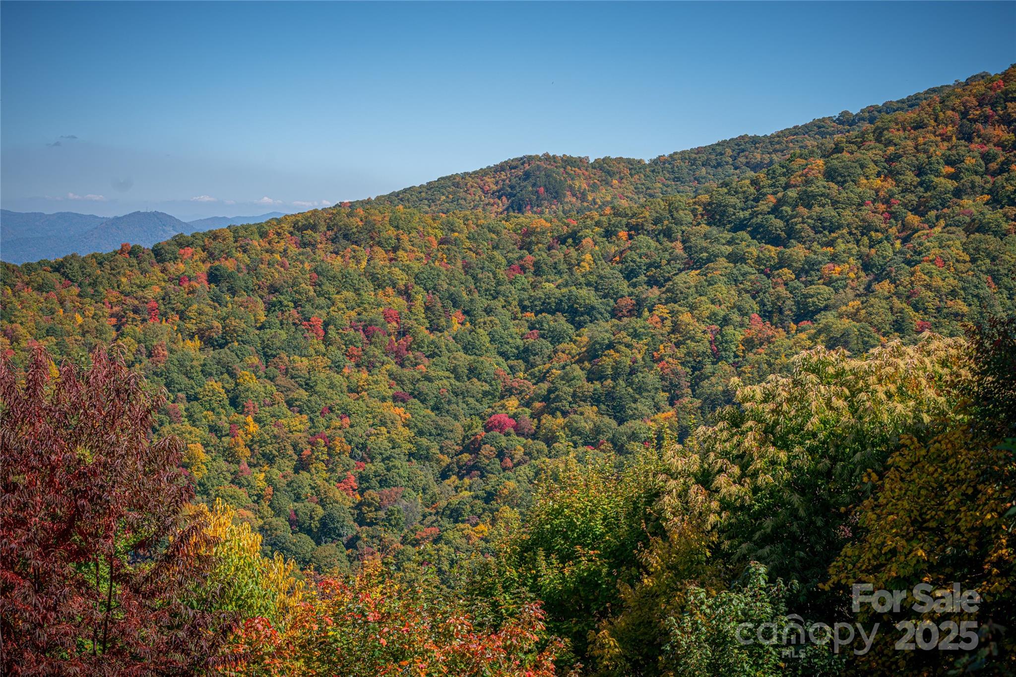 205 Chickadee Lane Maggie Valley NC 28751